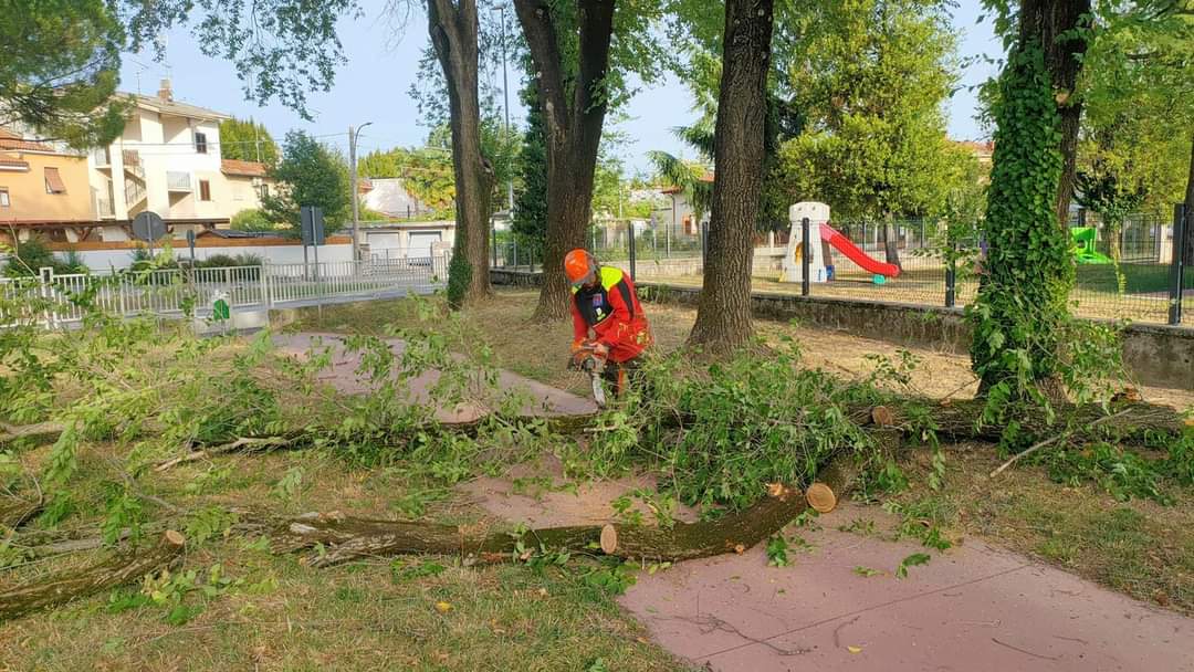 Immagine per Alberi travolti dal vento nell'Area festeggiamenti, interventi a Ronchi